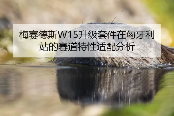 mei-sai-de-si-sheng-ji-tao-jian-zai-xiong-ya-li-zhan-de-sai-dao-te-xing-shi-pei-fen-xi-2-407.jpg