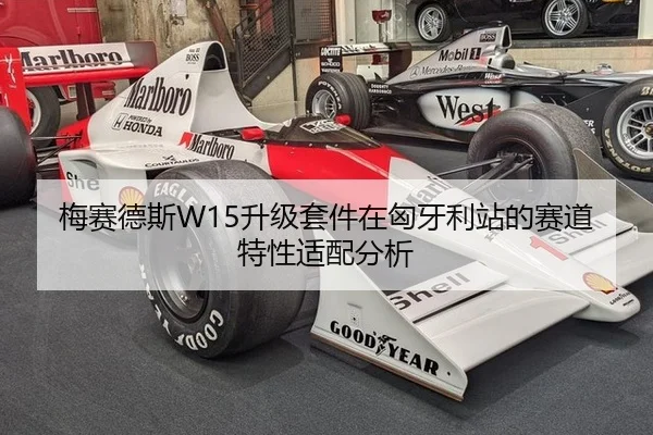 梅赛德斯W15升级套件在匈牙利站的赛道特性适配分析