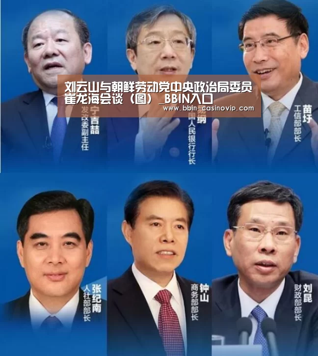 刘云山与朝鲜劳动党中央政治局委员崔龙海会谈（图）_BBIN入口